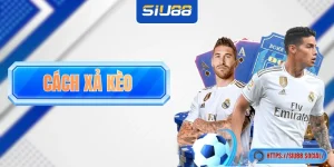 Hướng Dẫn Cách Xả Kèo Khi Cá Cược Thể Thao Tại SIU88