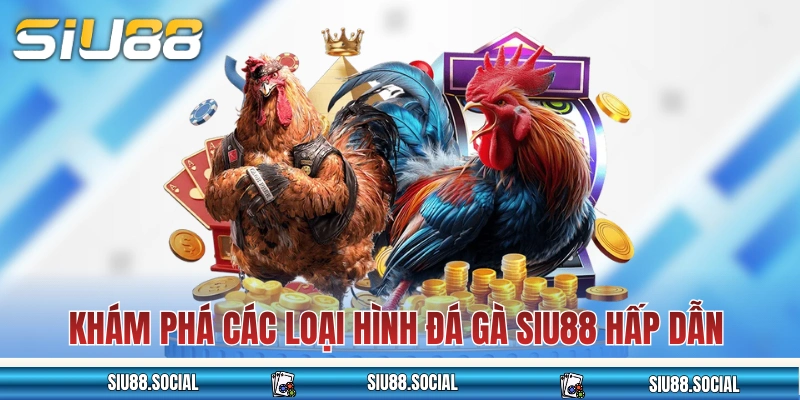 Đá Gà SIU88: Nơi Mãn Nhãn Với Trận Kê Chiến Long Trời Lở Đất 4 Khám phá các loại hình đá gà SIU88 hấp dẫn