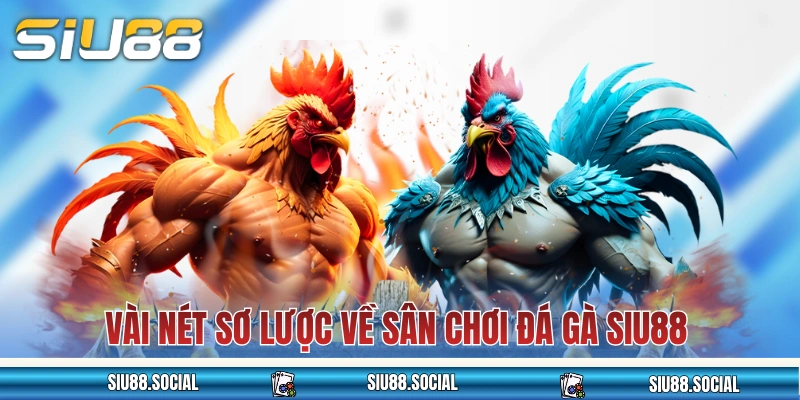 Đá Gà SIU88: Nơi Mãn Nhãn Với Trận Kê Chiến Long Trời Lở Đất 2 Vài nét sơ lược về sân chơi đá gà SIU88 đang gây bão