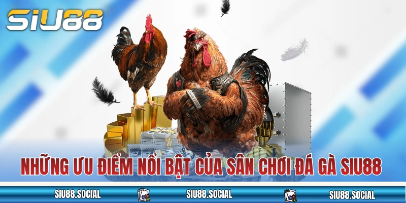 Đá Gà SIU88: Nơi Mãn Nhãn Với Trận Kê Chiến Long Trời Lở Đất 3 Những ưu điểm nổi bật của sân chơi đá gà SIU88